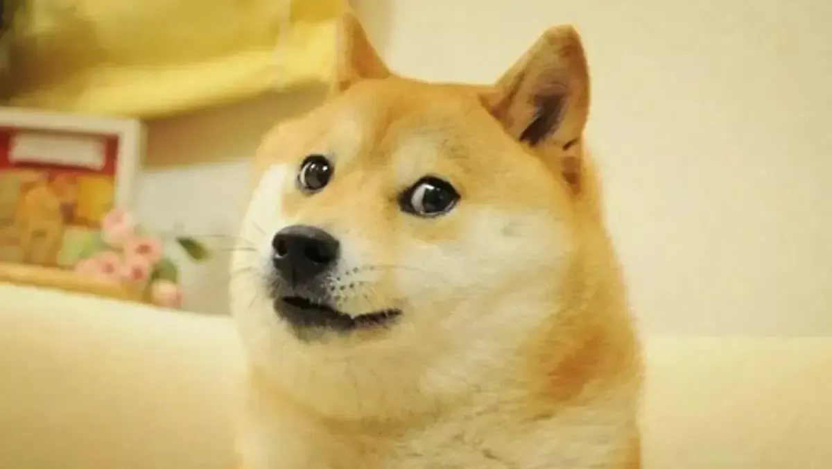 Altcoin: Dogecoin Evolves Beyond Memecoin: DogeOS Testnet Launched news image
