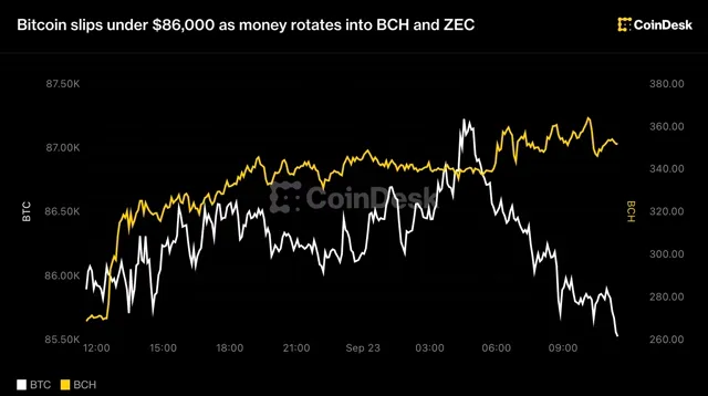 Bitcoin: Bitcoin 86,000 Doların Altına Düştü, Yatırımcılar BCH ve ZEC'e Yöneldi haber kartı görseli